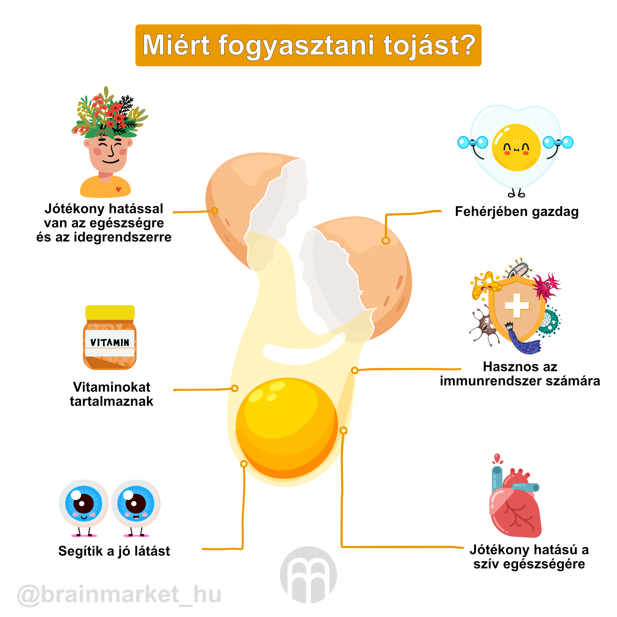 tojas-fogy